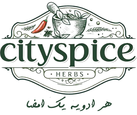 سیتی اسپایس